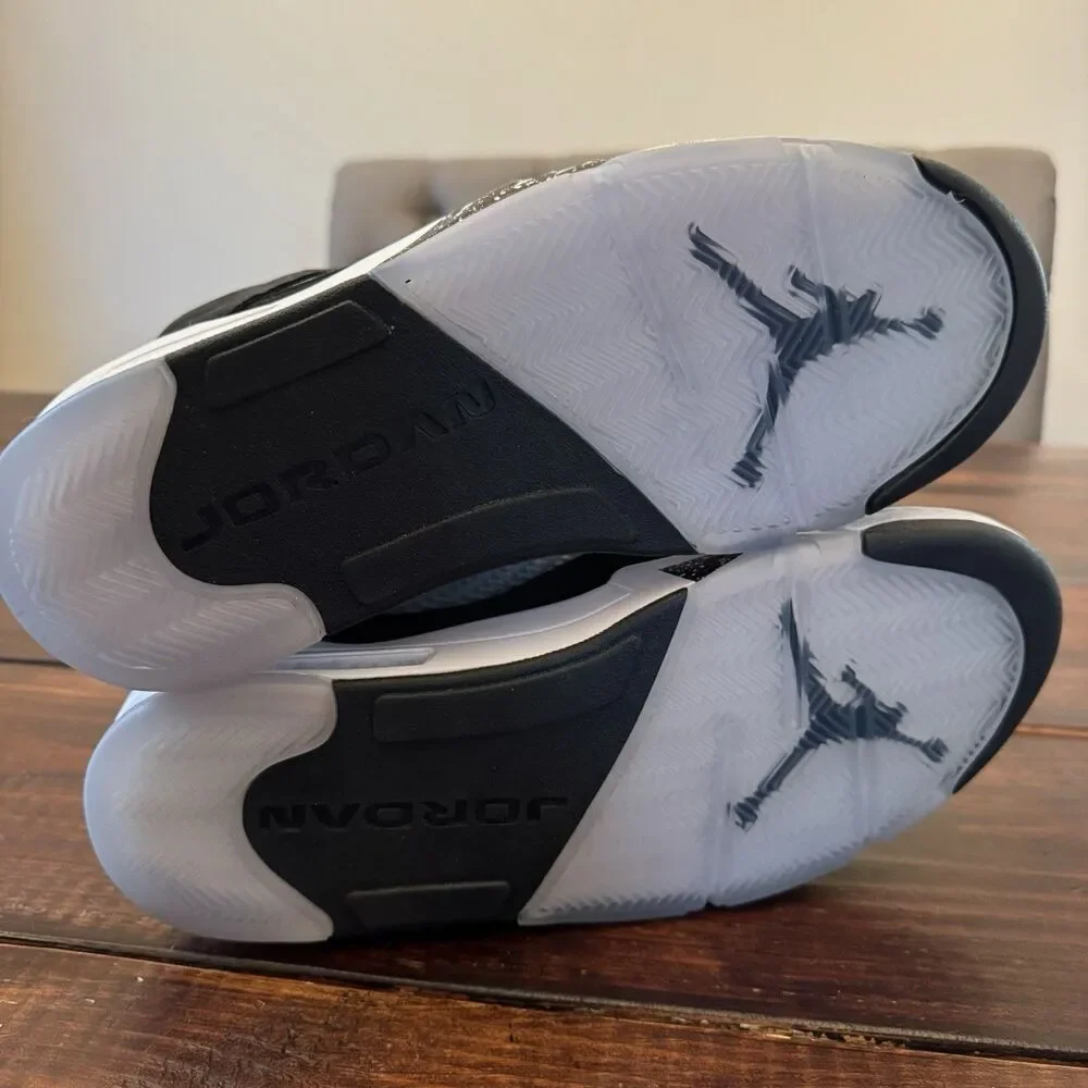 Air Jordan 5 Retro Moonlight Shoes